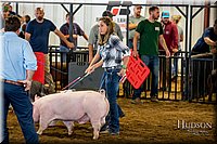 LCFAIR-081618-5512.jpg