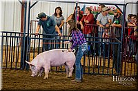 LCFAIR-081618-5513.jpg