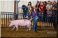LCFAIR-081618-5514.jpg