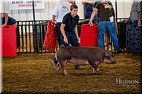 LCFAIR-081618-5537.jpg