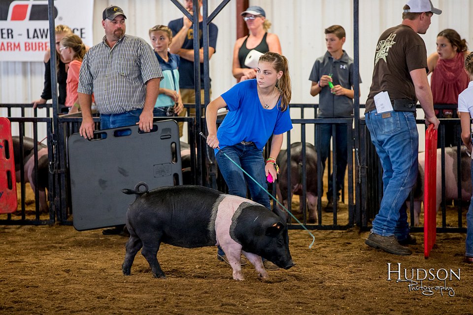 LCFAIR-081618-5593.jpg