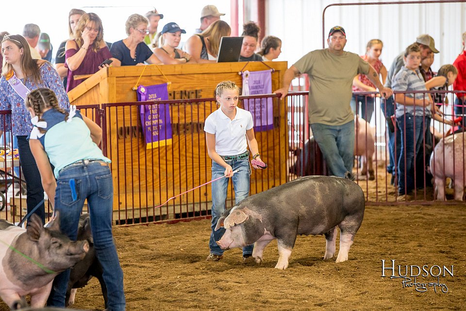 LCFAIR-081618-5606.jpg