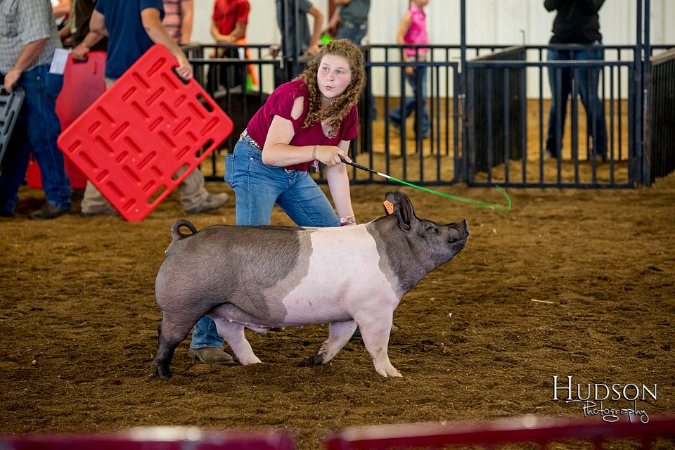 LCFAIR-081618-5626.jpg