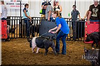 LCFAIR-081618-5591.jpg