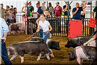 LCFAIR-081618-5601.jpg