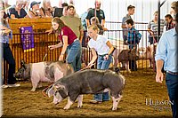 LCFAIR-081618-5622.jpg