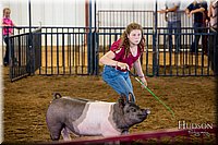 LCFAIR-081618-5628.jpg