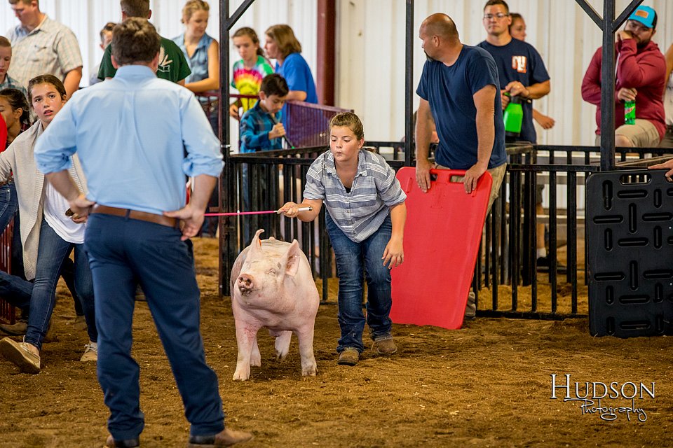 LCFAIR-081618-5647.jpg