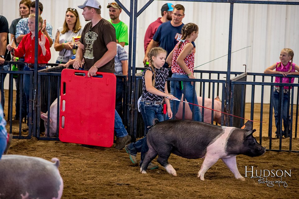 LCFAIR-081618-5678.jpg