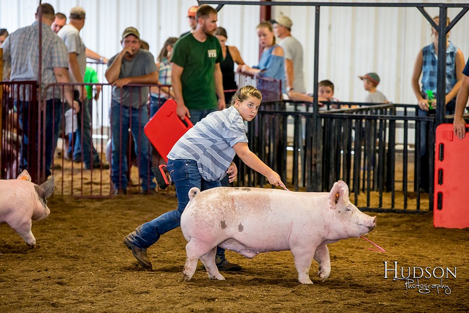 LCFAIR-081618-5703.jpg