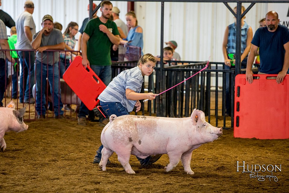 LCFAIR-081618-5704.jpg