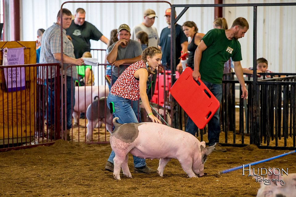 LCFAIR-081618-5706.jpg