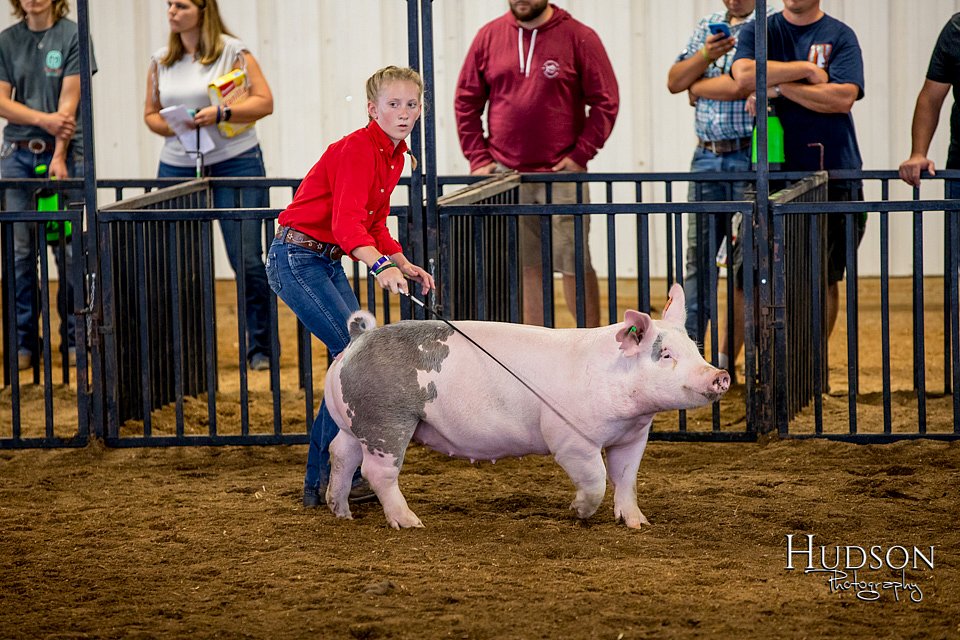 LCFAIR-081618-5717.jpg