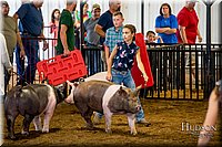 LCFAIR-081618-5667.jpg