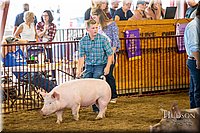 LCFAIR-081618-5669.jpg