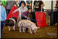 LCFAIR-081618-5694.jpg