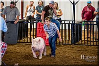 LCFAIR-081618-5698.jpg