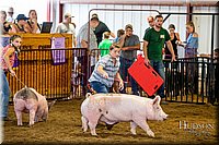 LCFAIR-081618-5702.jpg