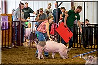 LCFAIR-081618-5706.jpg