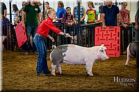 LCFAIR-081618-5731.jpg