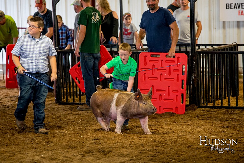 LCFAIR-081618-5741.jpg