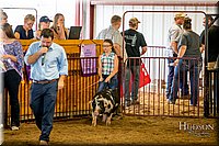 LCFAIR-081618-5766.jpg