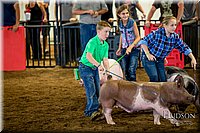 LCFAIR-081618-5799.jpg