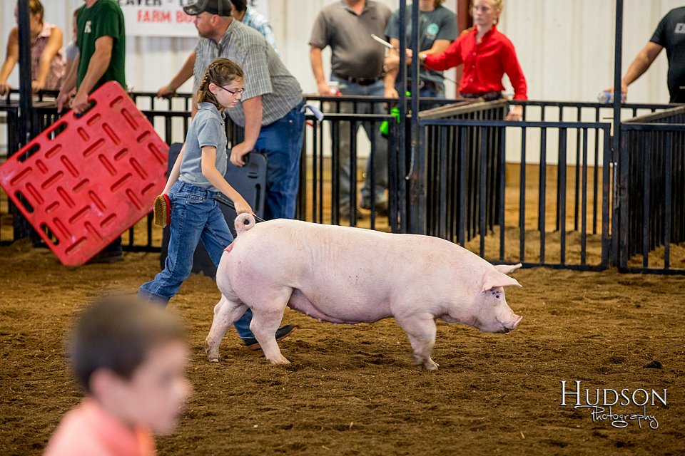 LCFAIR-081618-5824.jpg
