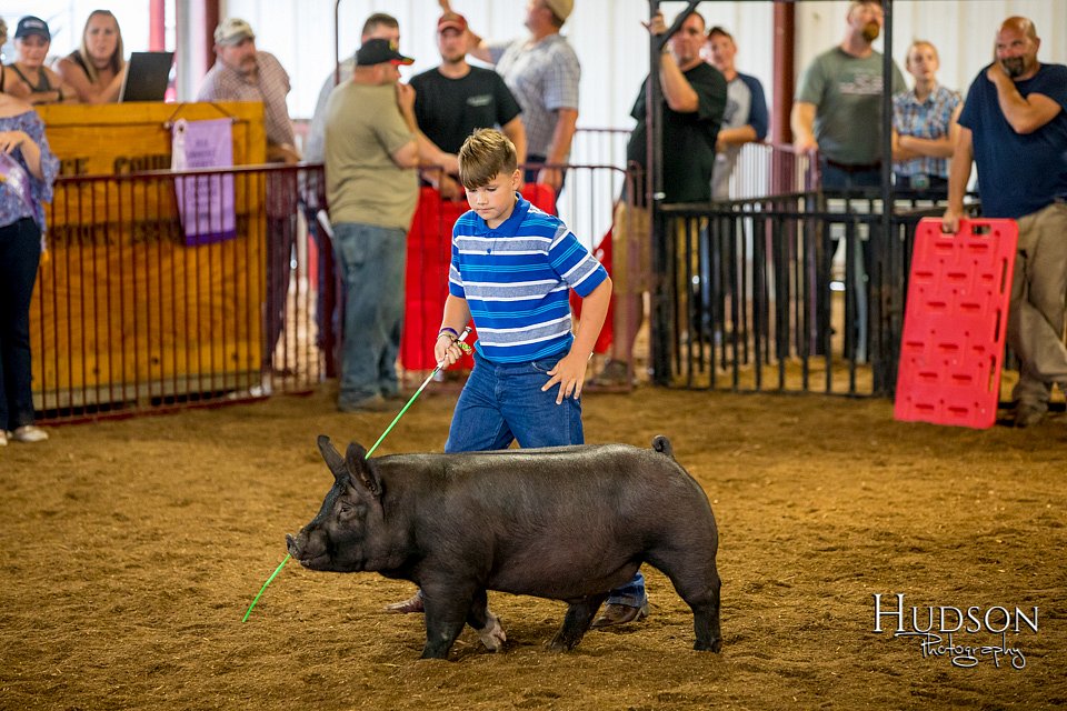 LCFAIR-081618-5836.jpg