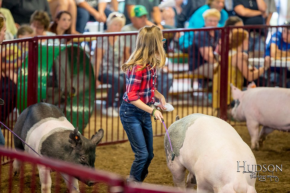 LCFAIR-081618-5854.jpg
