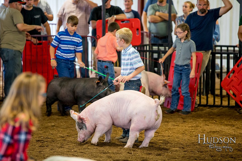 LCFAIR-081618-5856.jpg