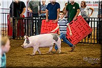 LCFAIR-081618-5831.jpg