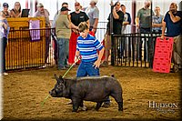 LCFAIR-081618-5836.jpg