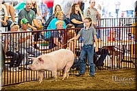 LCFAIR-081618-5857.jpg