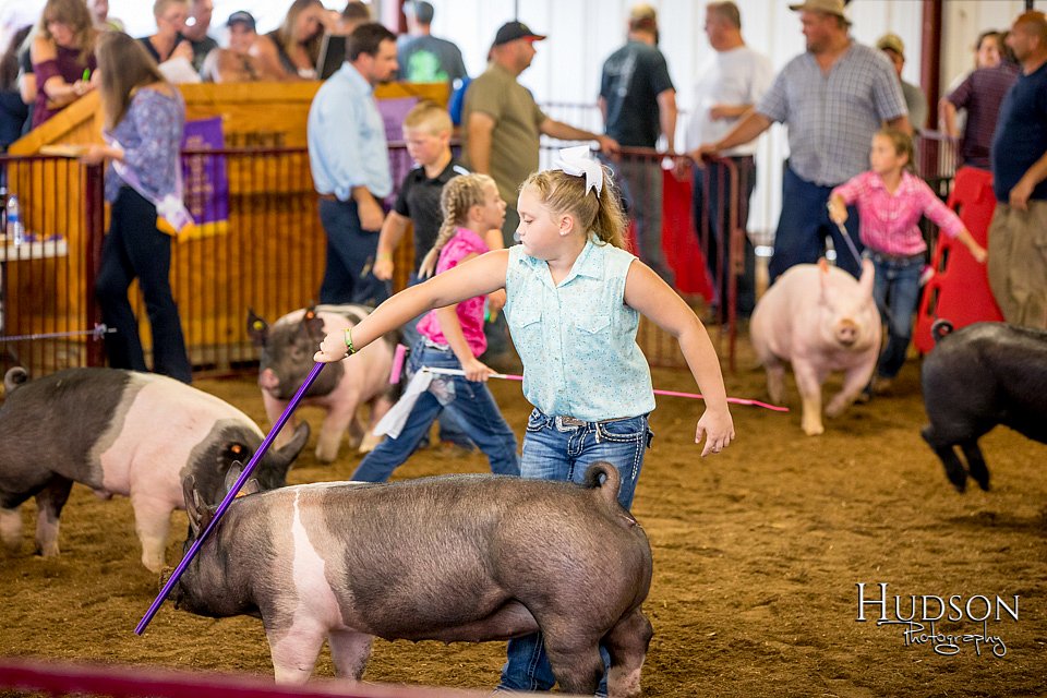 LCFAIR-081618-5897.jpg