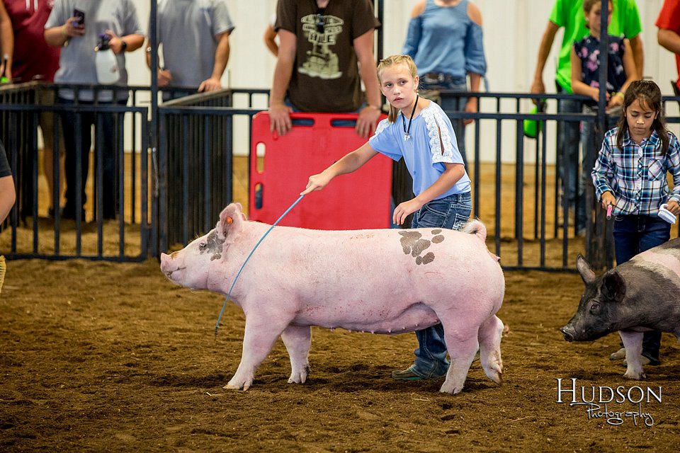 LCFAIR-081618-5915.jpg