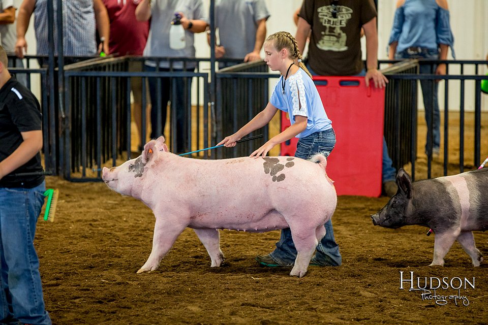 LCFAIR-081618-5916.jpg