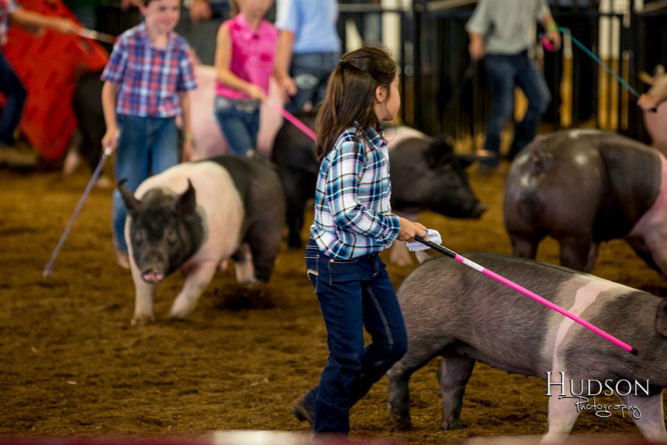 LCFAIR-081618-5923.jpg