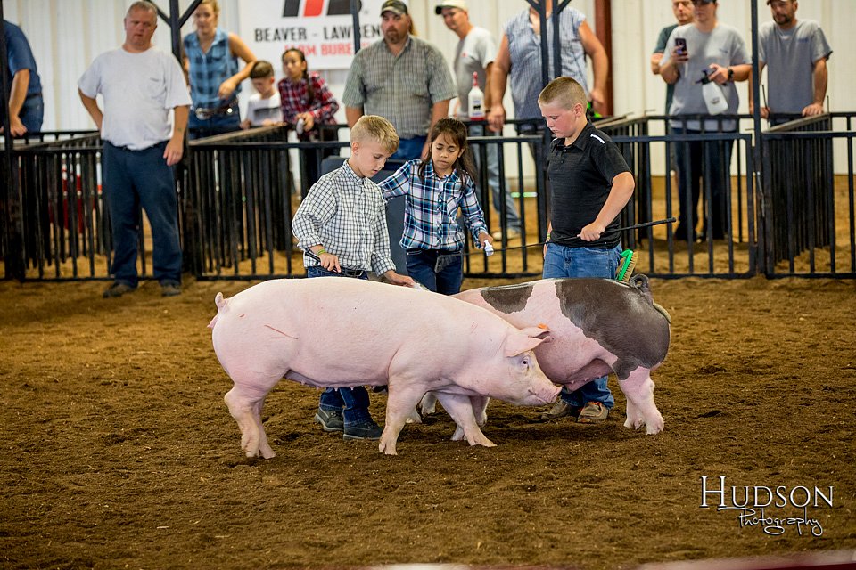 LCFAIR-081618-5940.jpg