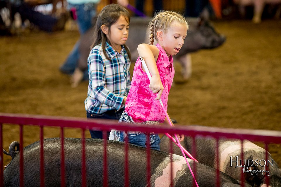 LCFAIR-081618-5949.jpg