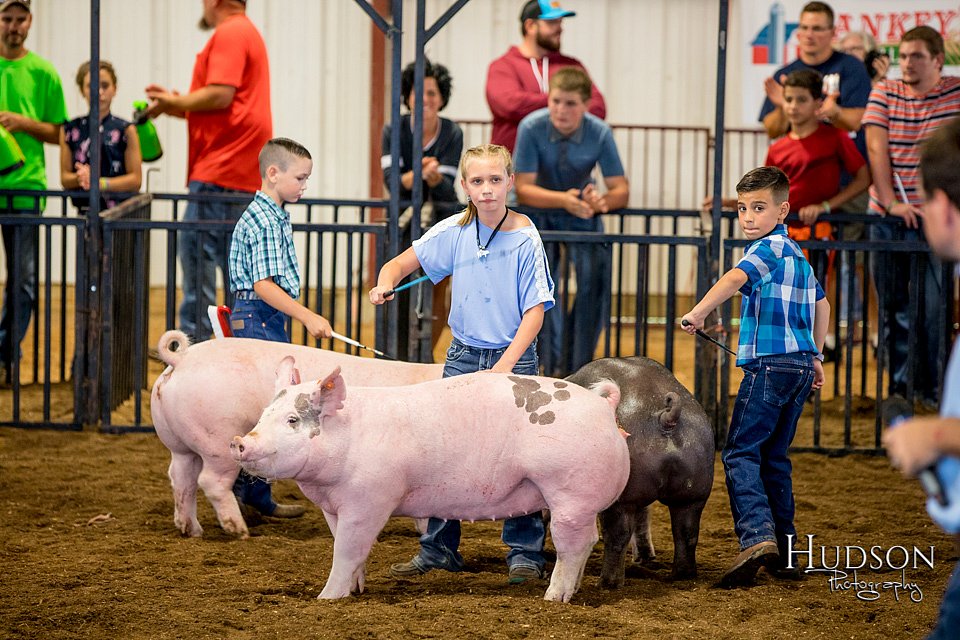 LCFAIR-081618-5959.jpg
