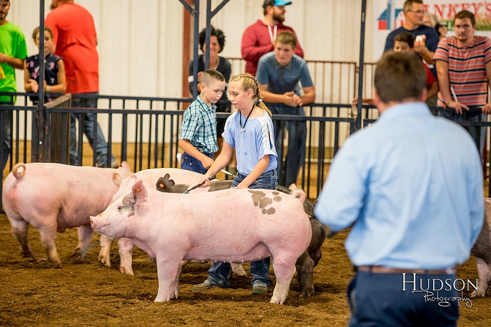LCFAIR-081618-5960.jpg