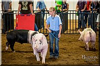 LCFAIR-081618-5932.jpg