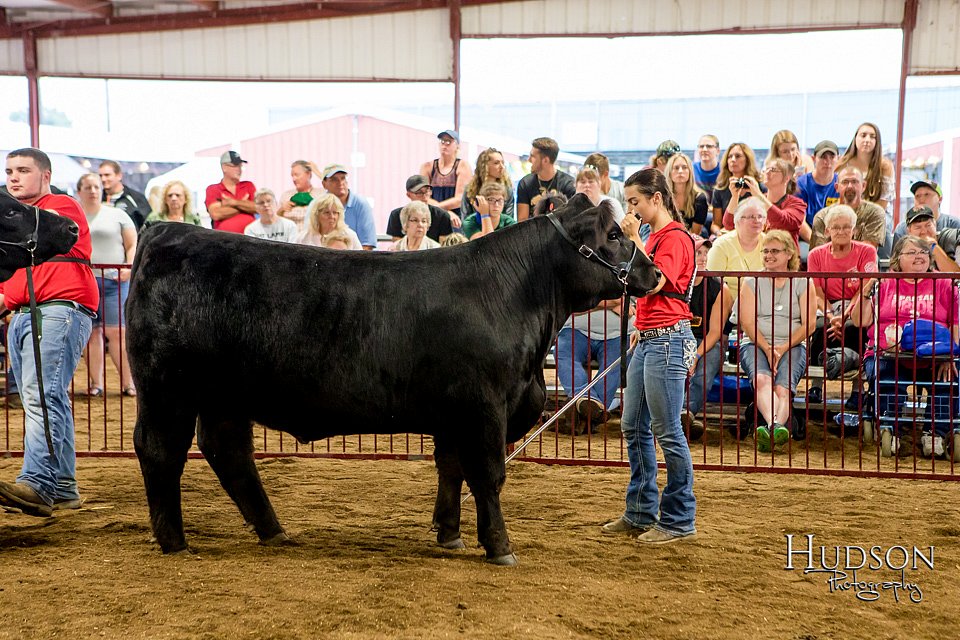 LCFAIR-081718-6816.jpg