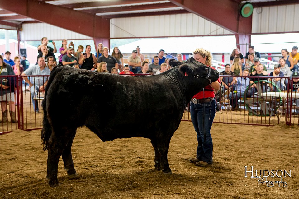 LCFAIR-081718-6848.jpg