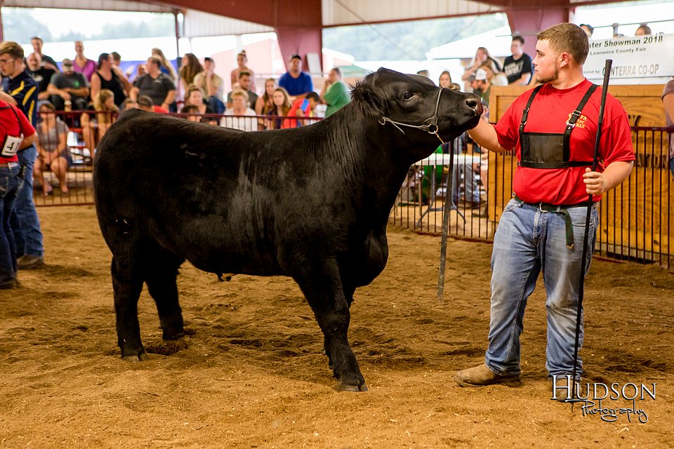 LCFAIR-081718-6861.jpg