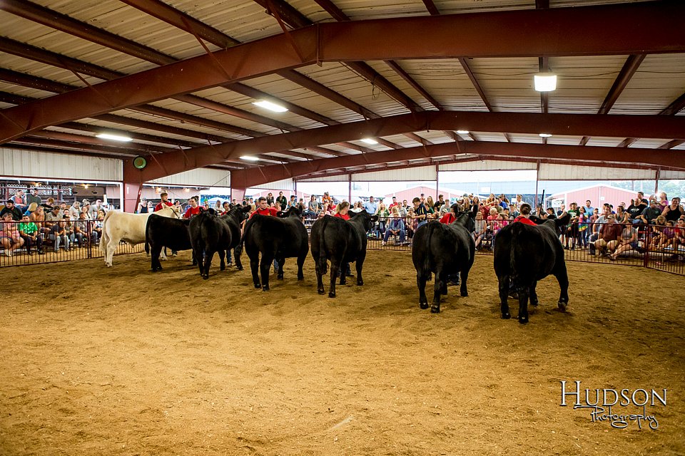 LCFAIR-081718-6868.jpg