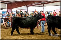 LCFAIR-081718-6813.jpg