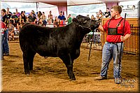 LCFAIR-081718-6860.jpg