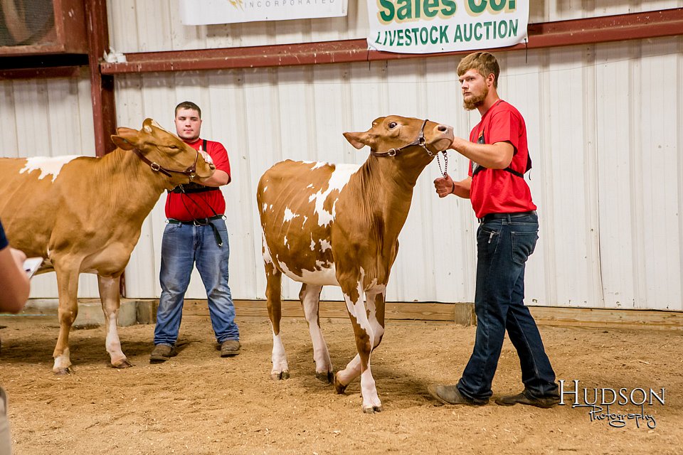 LCFAIR-081718-6582.jpg